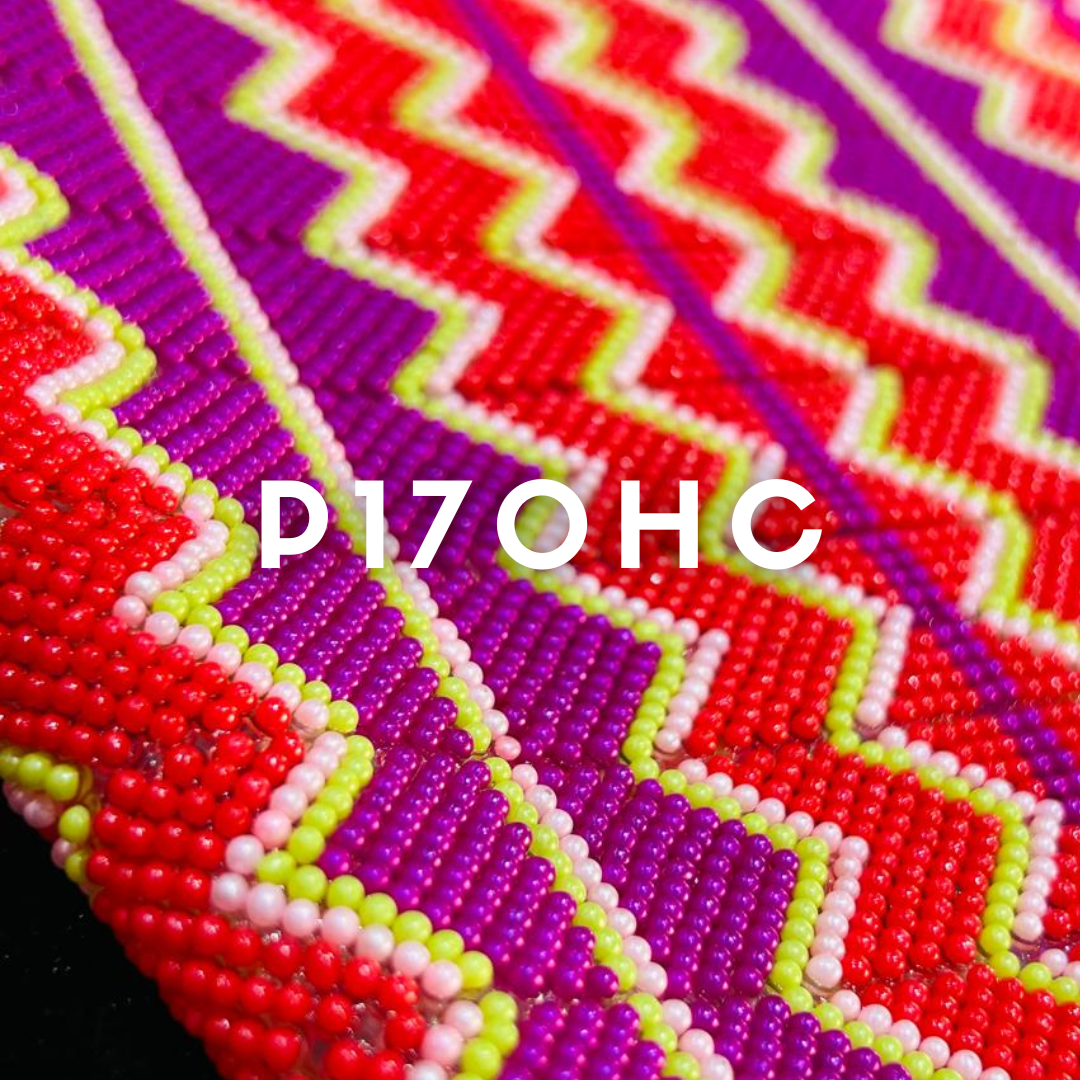 P170HC