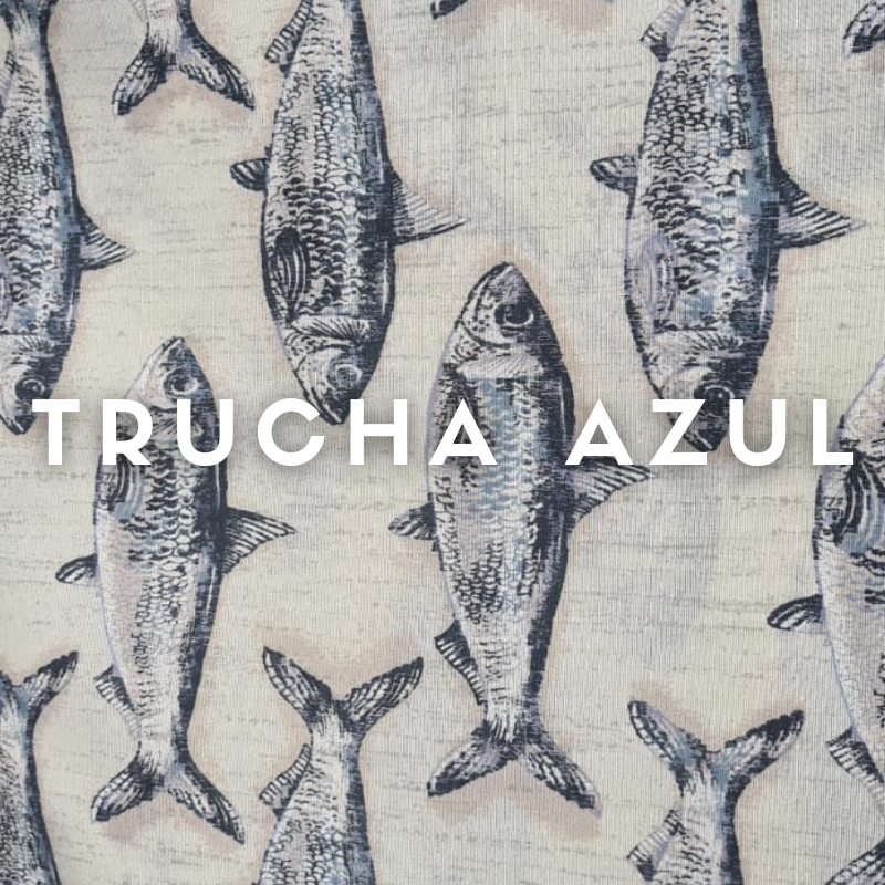 Loneta Estampada ancho 2.80