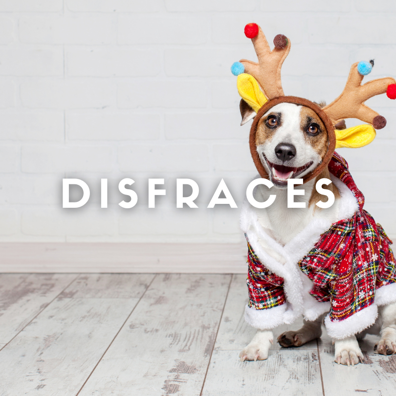 Disfraces