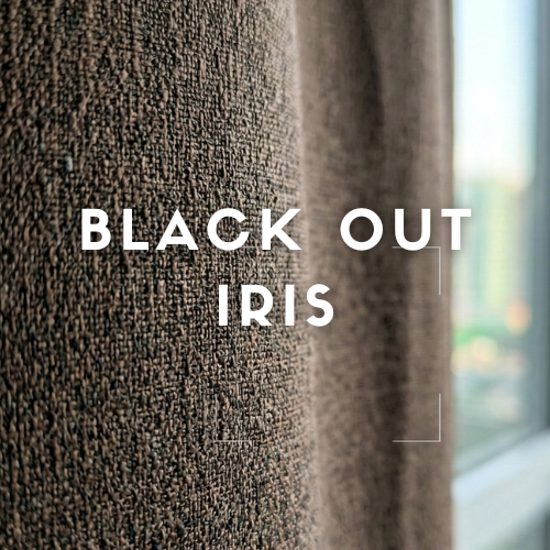 Black Out Iris