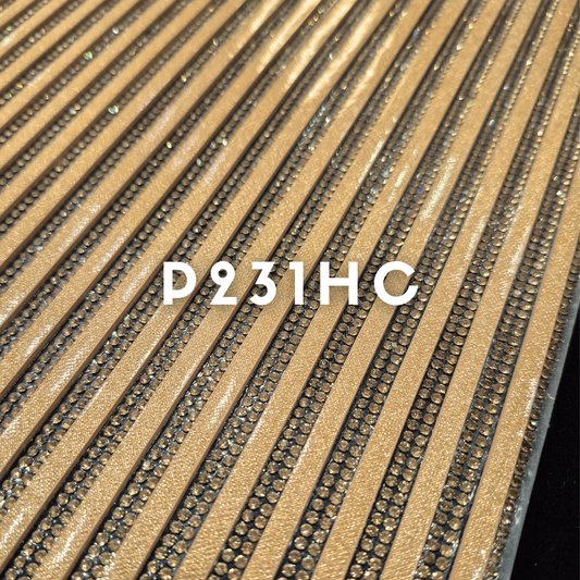 P231HC